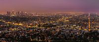Los Angeles Skyline par Mark den Hartog Aperçu