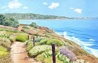 Torrey Pines and La Jolla
