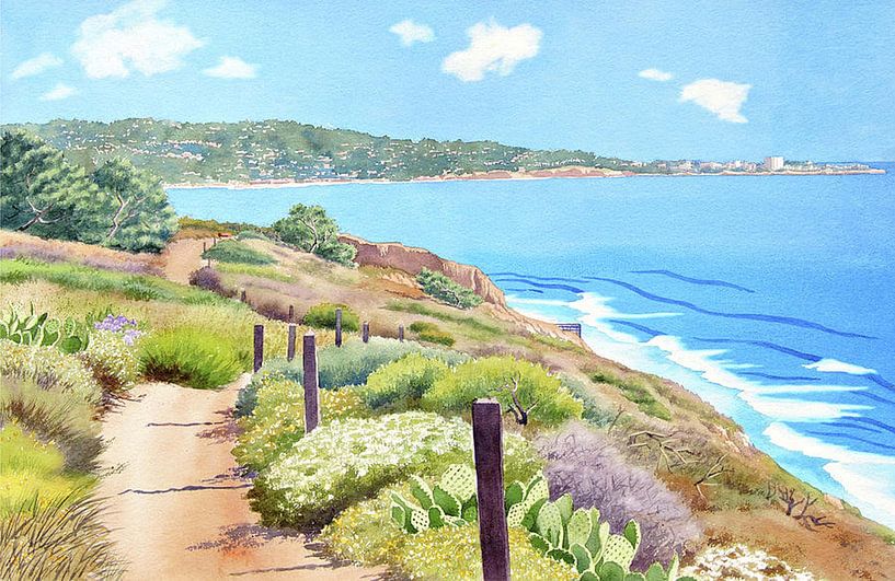 Torrey Pines en La Jolla van erikaktus gurun
