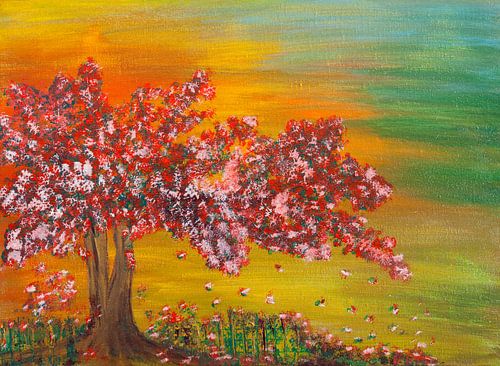 Kirschblüte im Sonnenuntergang