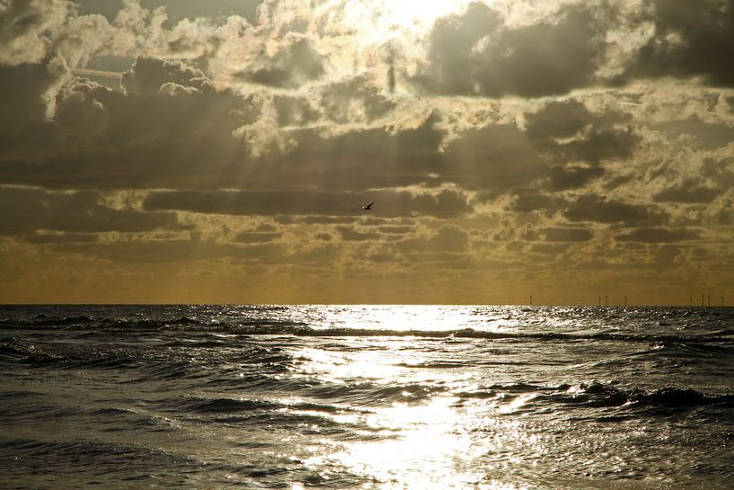 Sonnenstrahlen  über die Nordsee von Cora Unk