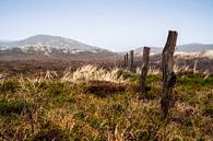 Dünenlandschaft auf Sylt von Stephan Zaun Miniaturansicht