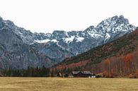 Herfstig Oostenrijks berglandschap van Saranda Hofstra thumbnail