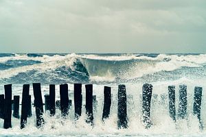 Wilde Nordsee