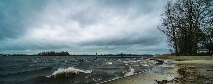 Windy von Gert Brink