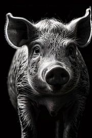 Black-and-white pig portrait on canvas by Art & Soul Creations