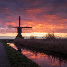 Uitwijkse Molen Rode Lucht van Zwoele Plaatjes