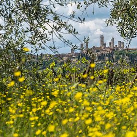 Blik op San Gimignano in het voorjaar van Teun Ruijters