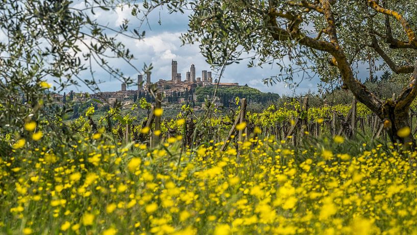 Blick auf San Gimignano im Frühling von Teun Ruijters