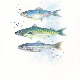 Fisch in Aquarell von Atelier DT