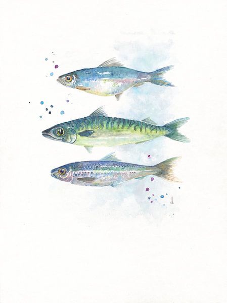 Fisch in Aquarell von Atelier DT