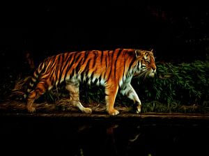 Tijger - Portret - de tijger -tijger