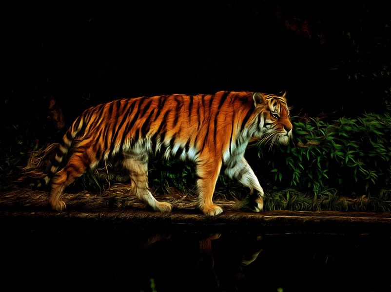 Tiger - Portrait - the tiger -tijger by Reiner Borner