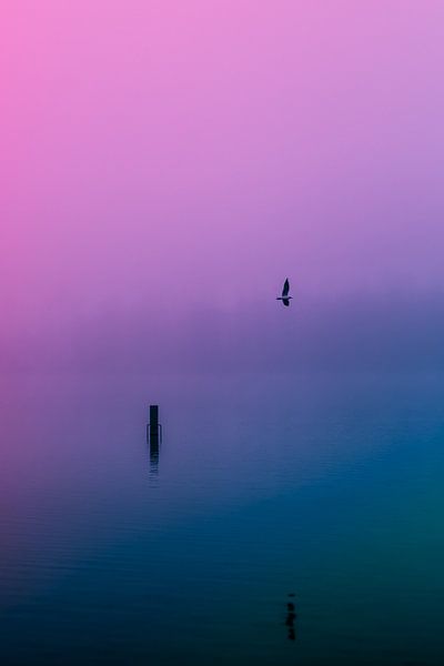 Dichte mist over de Rijkerswoerdse Plassen.  van Robert Wiggers