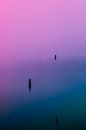 Dichte mist over de Rijkerswoerdse Plassen.  van Robert Wiggers thumbnail