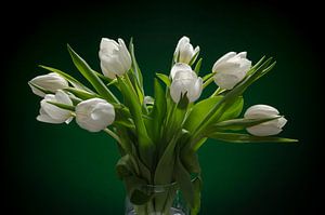 Tulpen in puur wit