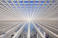 Guillemins rooftop van Wanda Michielsen thumbnail