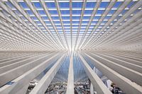 Guillemins rooftop