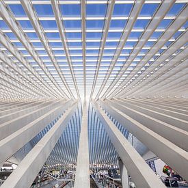 Guillemins rooftop van Wanda Michielsen