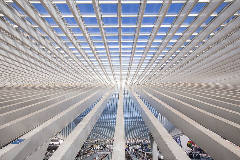 Guillemins rooftop van Wanda Michielsen