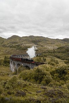 Le train à Vapeur des Jacobites dans les Highlands écossais sur Henrike Schenk