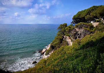 Cami de Ronda 3 sur Maickel Dedeken