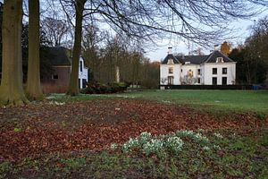 Lente op landgoed Nieuw Amelisweerd