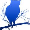 Uil op tak blauw-wit van Harmanna Digital Art