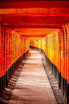 Orange torii gates in Kyoto by Mickéle Godderis