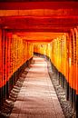 Oranje torii gates in Kyoto van Mickéle Godderis thumbnail