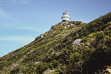 Vuurtoren bij Cape Point | Reisfotografie | West-Kaap, Zuid-Afrika, Afrika van Sanne Dost