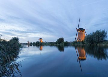 Kinderdijk van Simone Koster