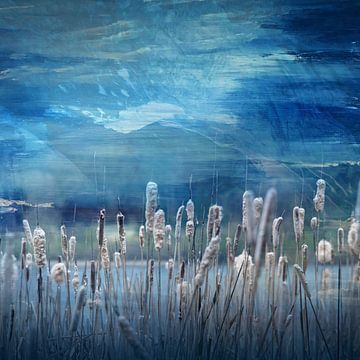 J'ai le blues sur Ede Sartori