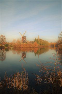 De Lindemolen te Diest  sur Maarten Honinx