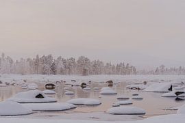 Snowy winter landscape in Swedish Lapland by sonja koning