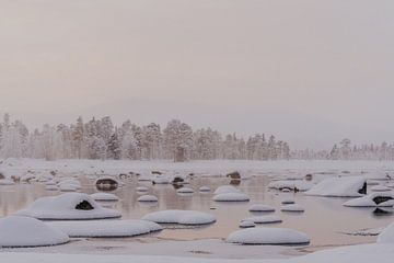 Besneeuwd winterlandschap in Zweeds Lapland van sonja koning