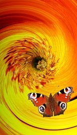 Vrolijke Drieluik Klaproos 3a von Wim Popken