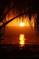 Tropical Sunset