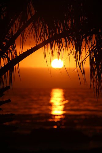 Tropical Sunset