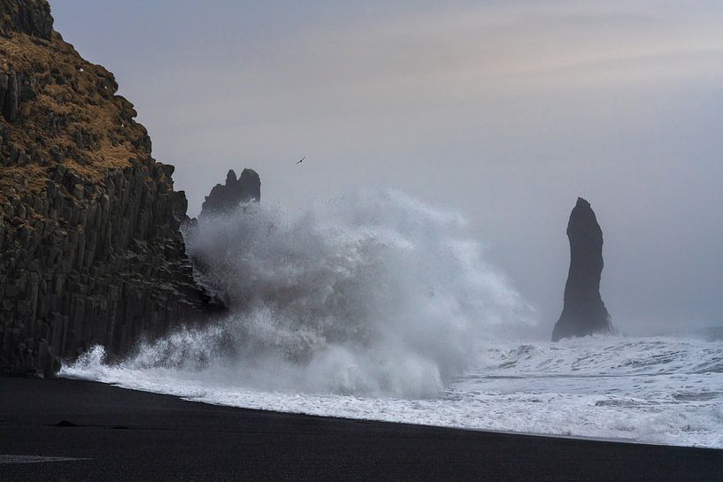 Das wilde Meer klopft gegen die Felsen am Strand von Reynisdrangar im südlichen Teil Islands bei Vik von Anges van der Logt