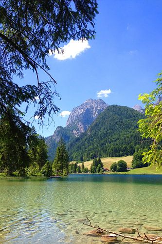 Uferlandschaft am Hintersee im Sonnenlicht