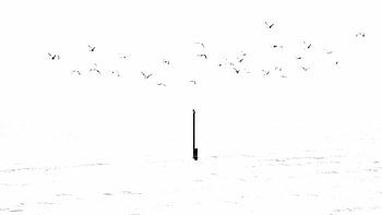 Was ist, wenn Sie Recht haben und die anderen sich irren?