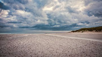 Schelpen op strand met het duin op Texel van eric van der eijk