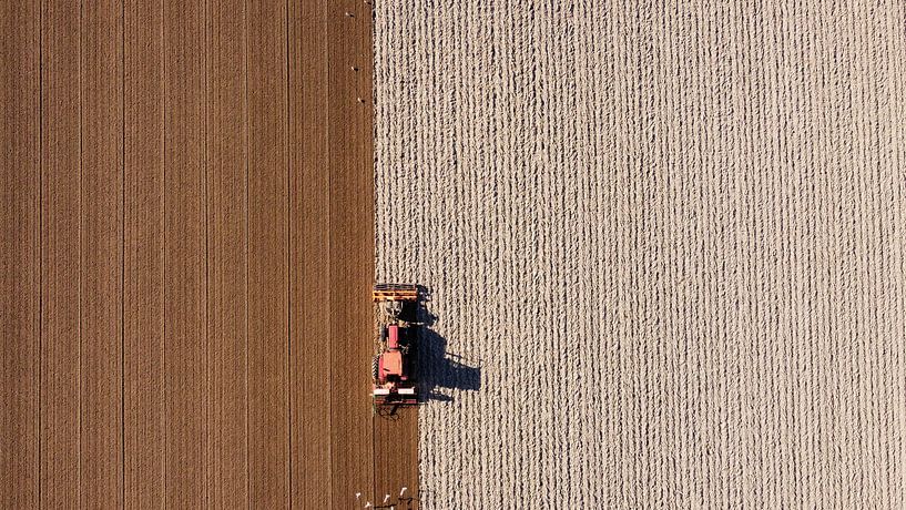 The Plough. by PEEQ.