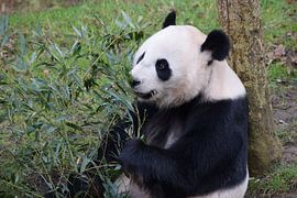 Lunch van Huub Westendorp