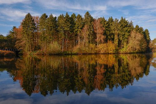 Weerspiegeling in het water