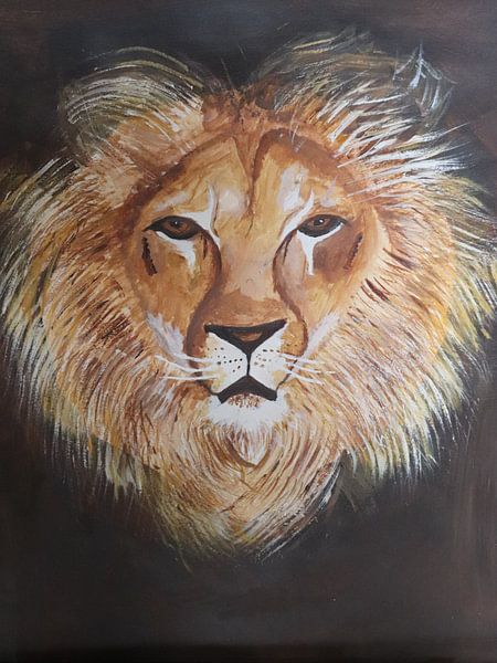Leeuw Rita par Ivan Koole
