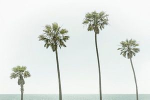 Palmen am Meer von Melanie Viola