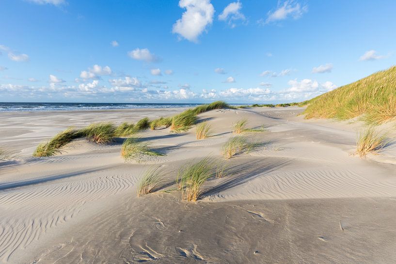 Duinen en helmgras op het strand van Terschelling van Sander Groffen