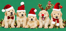 Joyeux Noël sur Moonheart Artworks